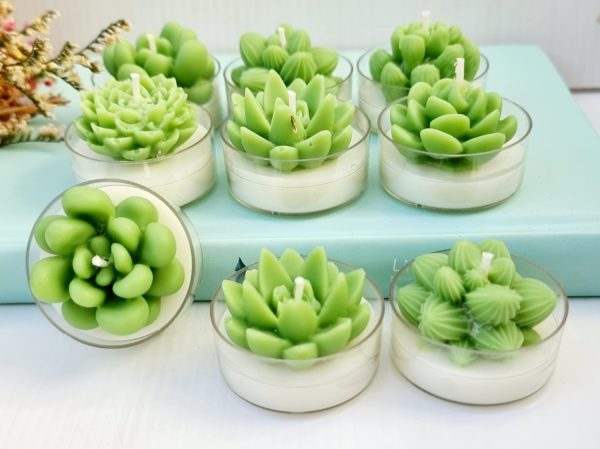 Cactus Circle Tealights - Pack of 6 For Discount