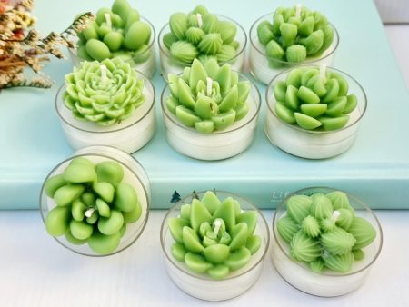 Cactus Circle Tealights - Pack of 6 For Discount