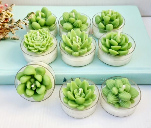 Cactus Circle Tealights - Pack of 6 For Discount