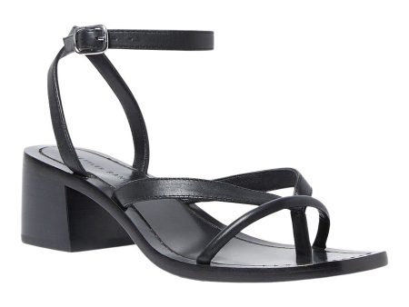 Loeffler Randall Eloise Sandal in Black Online Hot Sale