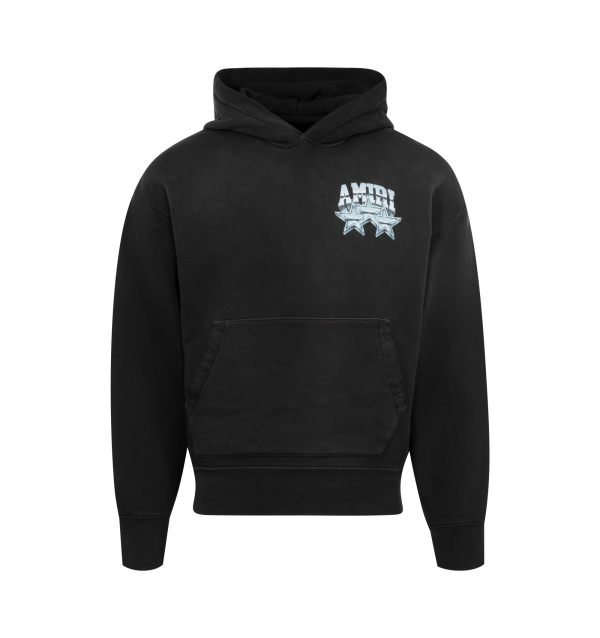 Championship Hoodie (Mens) Online