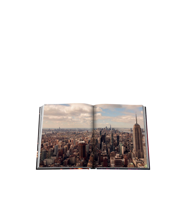 NEW YORK CHIC BOOK For Sale