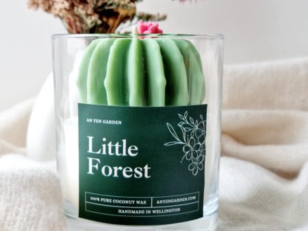 Succulent Candle - Little Forrest (Fragrance) For Sale