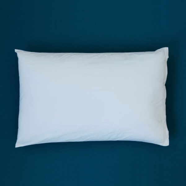 Miteguard Pillow Cover Online