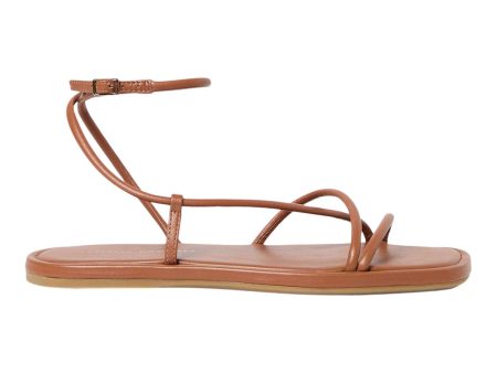 Loeffler Randall Noor Leather Flat Sandal in Timber For Discount