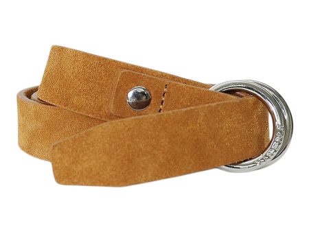 Xirena Rio Belt in Honey Hot on Sale